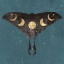 Picture of LA LUNA 1