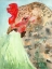 Picture of WATERCOLOR ROOSTER