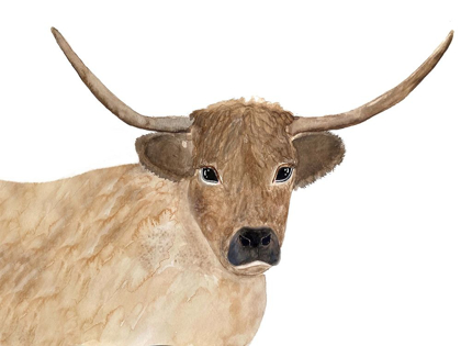 Picture of STEER HEAD 1