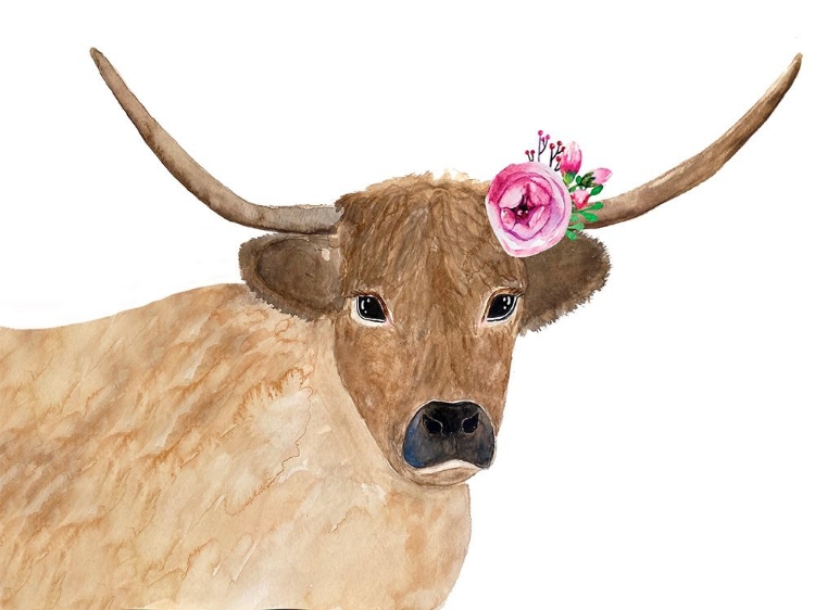 Picture of STEER HEAD FLOWER