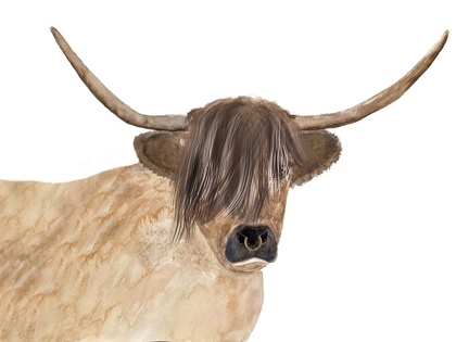 Picture of STEER HEAD FASHION
