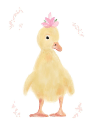 Picture of SPRING CHICK