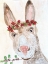 Picture of XMAS DONKEY