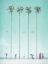 Picture of MIAMI