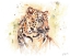 Picture of LEOPARD
