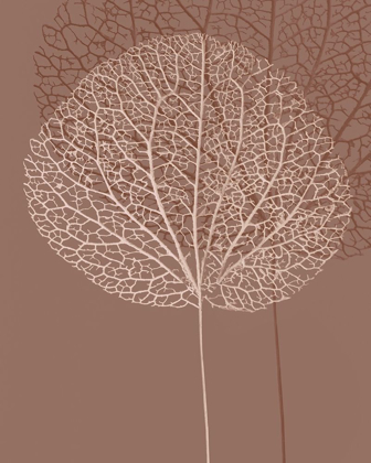 Picture of STEM SILHOUETTE I