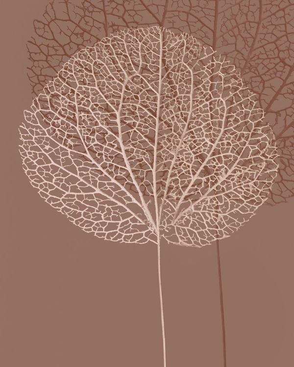 Picture of STEM SILHOUETTE I