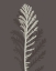 Picture of STEM SILHOUETTE III