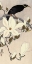 Picture of MYNA ON MAGNOLIA BRANCH