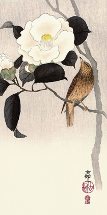Picture of SONGBIRD AND FLOWERING CAMELLIA