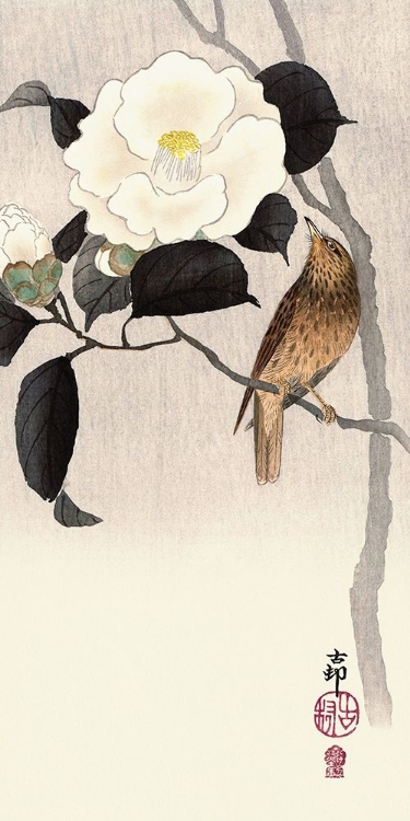 Picture of SONGBIRD AND FLOWERING CAMELLIA