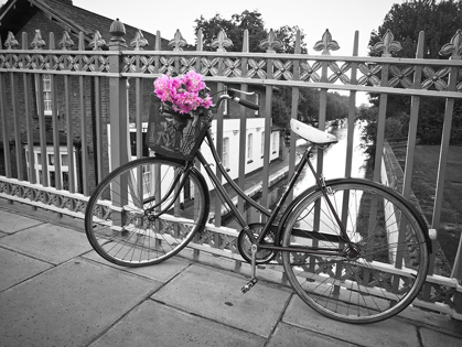 Picture of OLD BICYCLE NEAR A CANAL