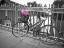 Picture of OLD BICYCLE NEAR A CANAL