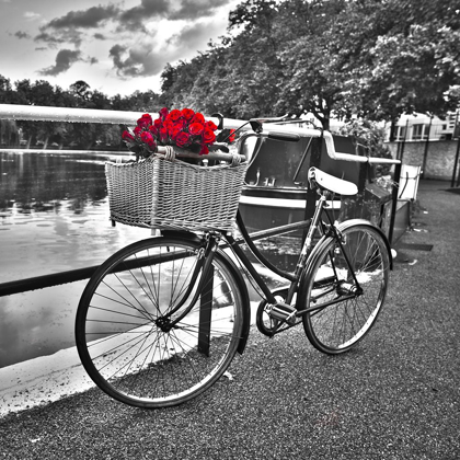 Picture of BICYCLES WITH FLOWERS