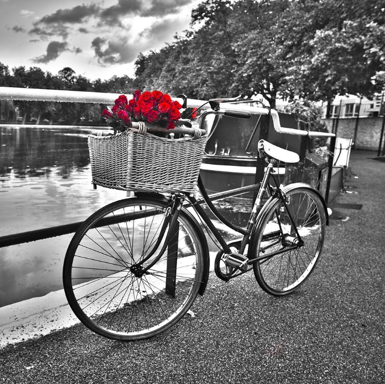Picture of BICYCLES WITH FLOWERS