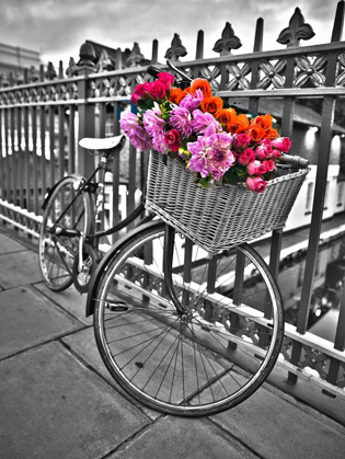 Picture of BICYCLES WITH FLOWERS