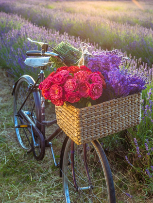 Picture of BASKET OF FLOWERS ON A BICYCLE