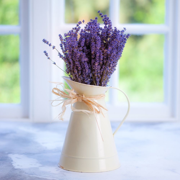 Picture of BUNCH OF LAVENDER IN ANTIQUE JUG BY THE WINDOW - INDOORS