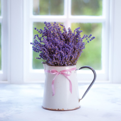 Picture of BUNCH OF LAVENDER IN ANTIQUE JUG BY THE WINDOW - INDOORS