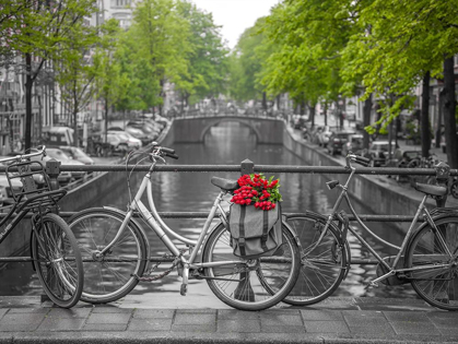 Picture of BICYCLE WITH BUNCH OF FLOWERS BY THE CANAL, AMSTERDAM