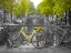 Picture of BICYCLE WITH BUNCH OF FLOWERS BY THE CANAL, AMSTERDAM