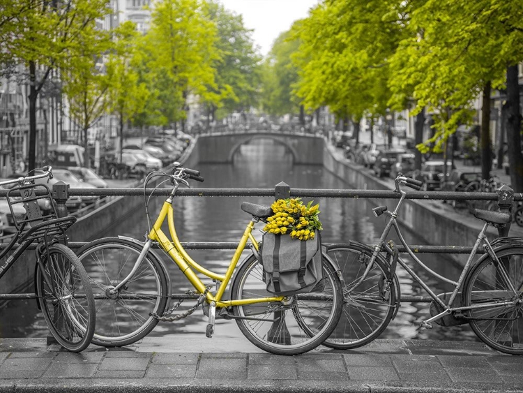Picture of BICYCLE WITH BUNCH OF FLOWERS BY THE CANAL, AMSTERDAM