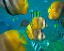 Picture of BLACKLIP BUTTERFLYFISH-PARROTFISH-SERGEANT MAJOR FISH-NEGROS ORIENTAL-PHILIPPINES