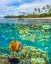 Picture of CORAL AND BUTTERFLY FISH AT CADLAO ISLAND-PALAWAN-PHILIPPINES