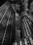 Picture of COMMERCE COURT COURTYARD VIEW