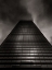 Picture of DOWNTOWN TORONTO FOGFEST NO 39