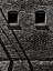 Picture of TORONTO DISTILLERY DISTRICT WINDOWS NO 2