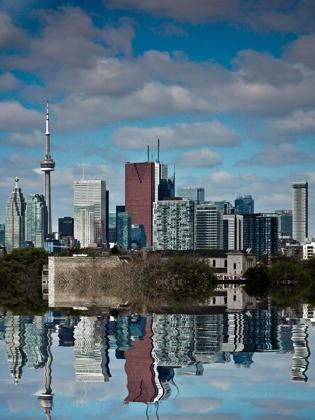 Picture of TORONTO SKYLINE REFLECTION