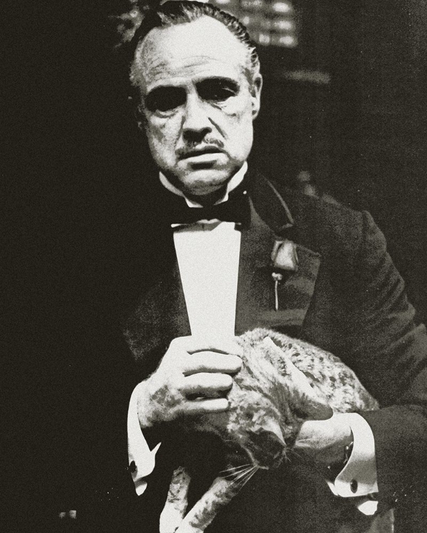 Picture of MARLON BRANDO - THE GODFATHER