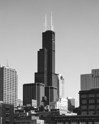Picture of SEARS TOWER CHICAGO ILLINOIS