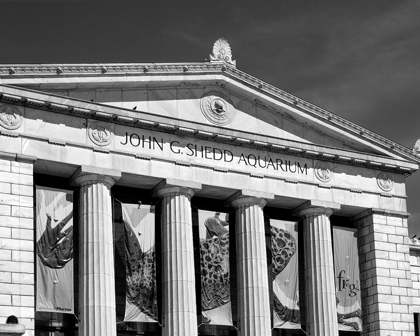 Picture of SHEDD AQUARIUM CHICAGO ILLINOIS