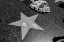 Picture of MICHAEL JACKSONS STAR ON THE HOLLYWOOD WALK OF FAME LOS ANGELES CALIFORNIA