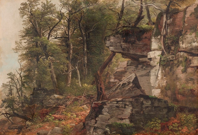 Picture of TREES ON A ROCKY HILLSIDE