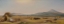 Picture of HARVEST ON THE ROMAN CAMPAGNA