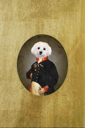Picture of ALL DRESSED UP BICHON FRISON 