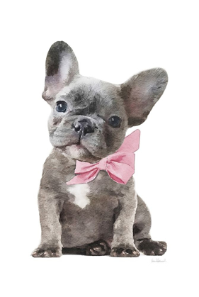 Picture of FRENCHIE X