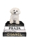 Picture of BICHON FRISE BOOKSTACK