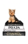 Picture of BOOKSTACK YORKIE II