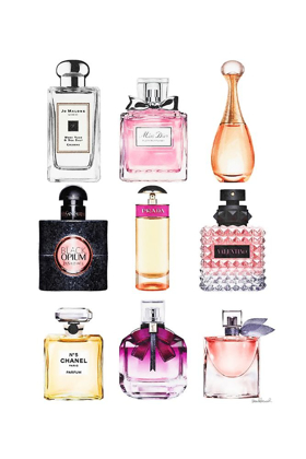 Picture of FRAGRANCE BOUQUET 