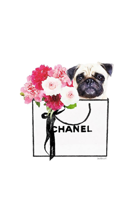 Picture of PUG AND SHOPPING 