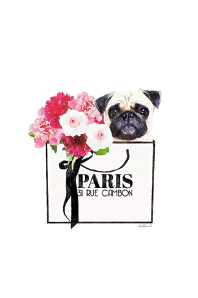 Picture of PUG AND SHOPPING II