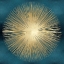 Picture of SUNBURST GOLD ON TEAL I
