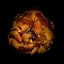 Picture of ORANGE PEONY