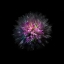 Picture of PINK CLOVER FLOWER