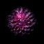 Picture of PURPLE DAHLIA