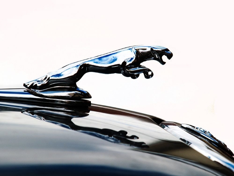 Picture of JAGUAR HOOD ORNAMENT